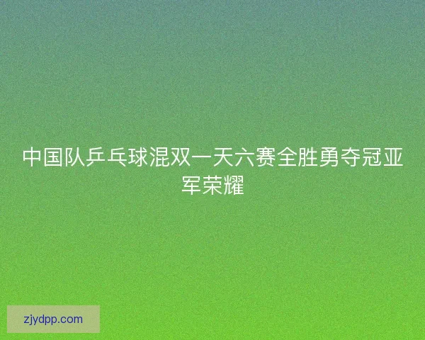 中国队乒乓球混双一天六赛全胜勇夺冠亚军荣耀